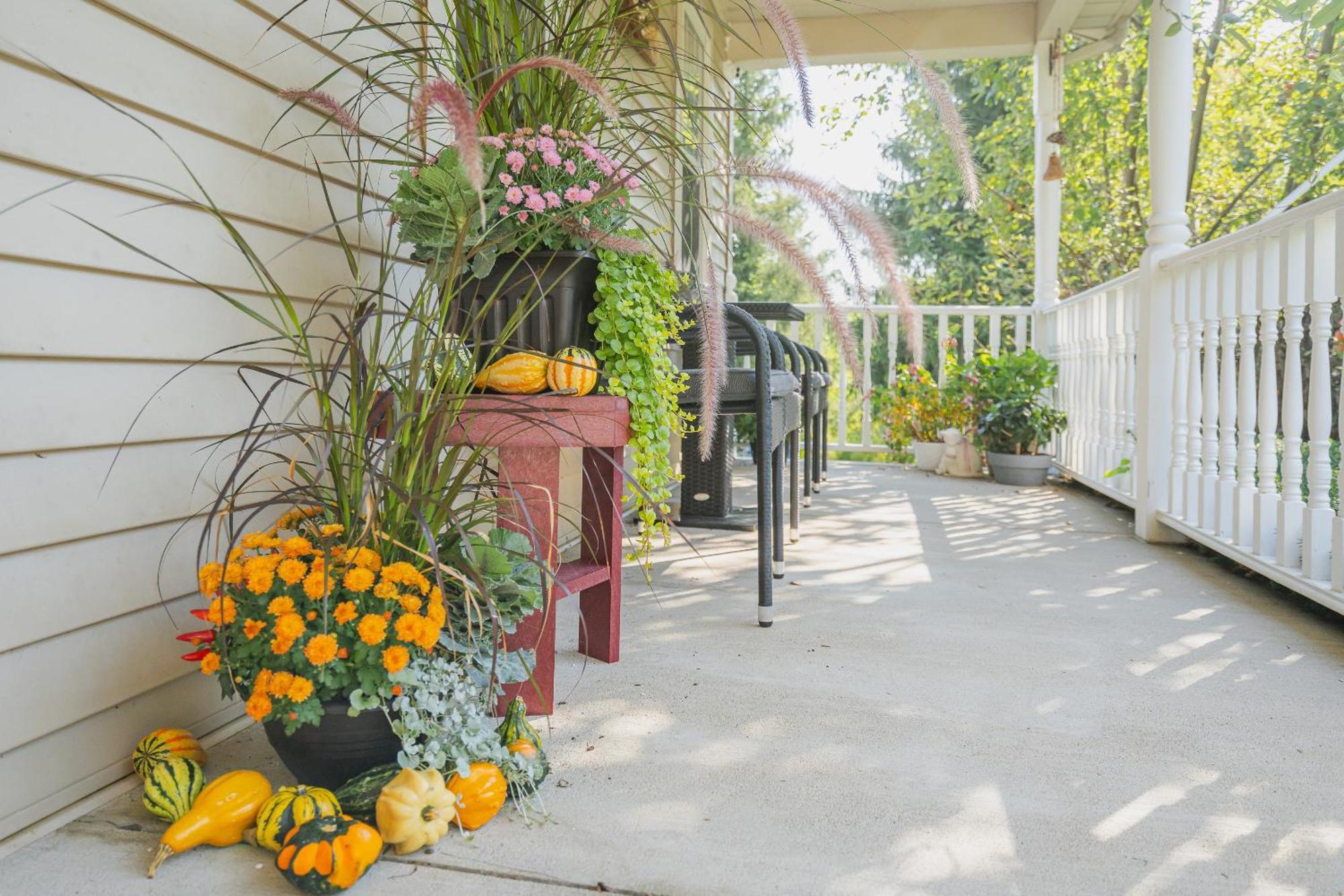 Bed and Breakfast Old Town Country Landing Niagara-on-the-Lake Екстер'єр фото