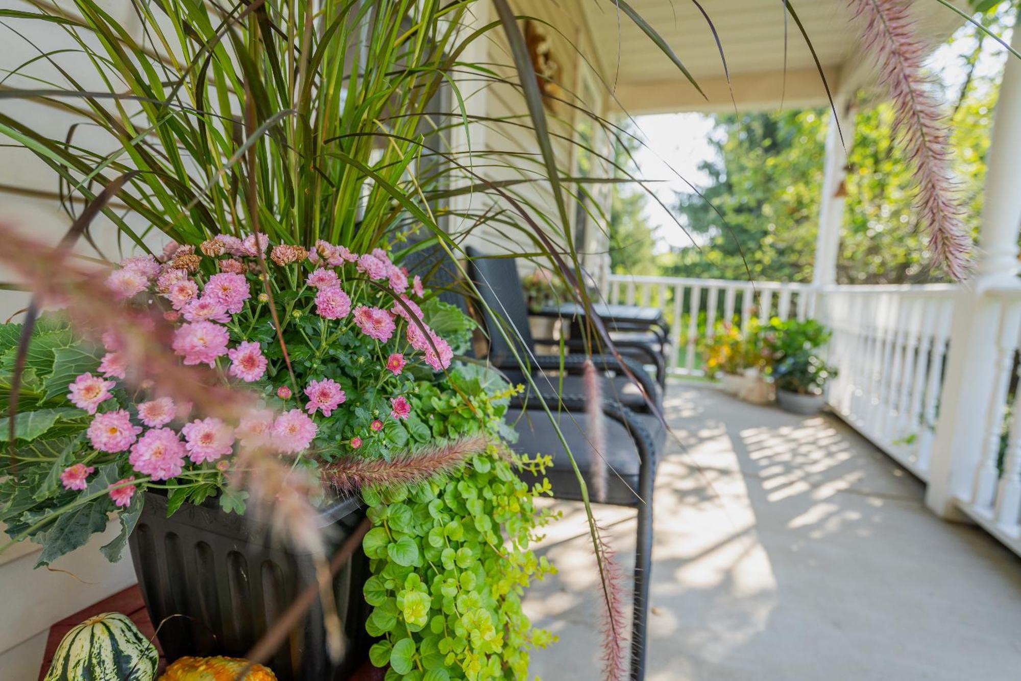 Bed and Breakfast Old Town Country Landing Niagara-on-the-Lake Екстер'єр фото