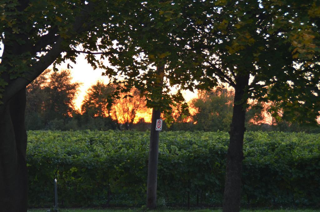 Bed and Breakfast Old Town Country Landing Niagara-on-the-Lake Екстер'єр фото